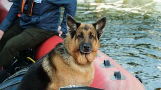 Hudson y Rex (T6): Ep.1 Barco fantasma