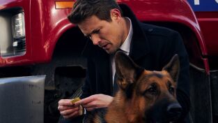 Hudson y Rex (T1): Ep.10 El arte de la oscuridad