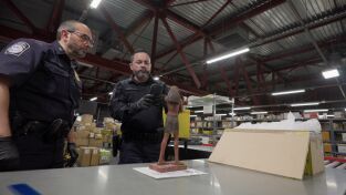 Control de aeropuertos: USA: El piloto de las pastillas