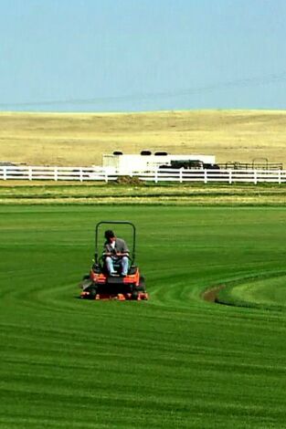 Así se hace (MAX): Césped/Carne de ternera curada/Bolos