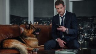 Hudson y Rex (T3): Ep.8 La Bella durmiente