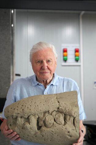 Attenborough y el monstruo jurásico