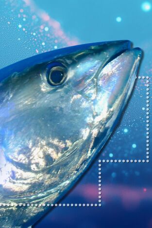 Atún rojo pesca y marcaje electronico