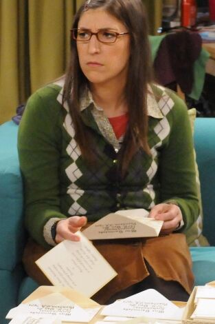 Big Bang (T5): Ep.16 La solución a las vacaciones