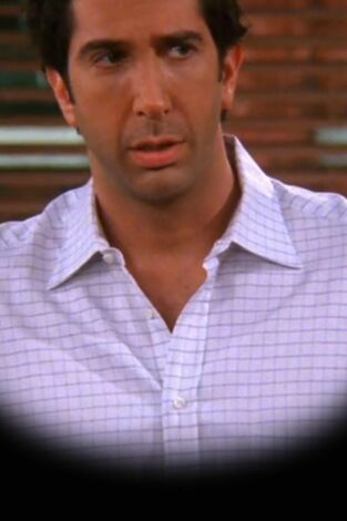 Friends (T9): Ep.6 El del niñero