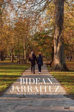 Bidean jarraituz