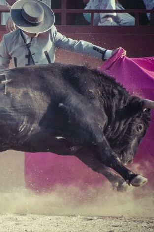 Toros: Desde Pozoblanco