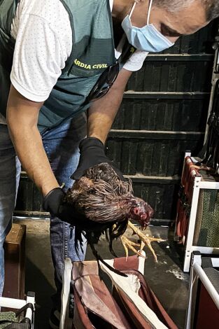 Seprona en acción: Episodio 6