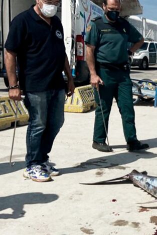 Seprona en acción: Episodio 8