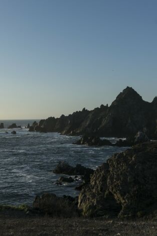 Corriente de Humboldt: el viaje de la ballena: Renovación