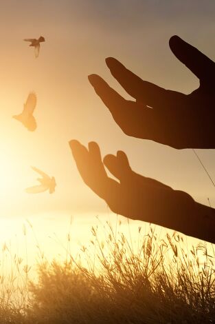 El caso de Jesús: La Resurrección