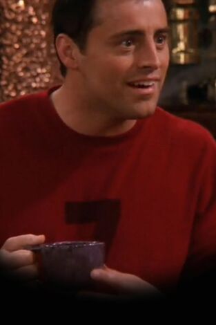 Friends (T9): Ep.14 El de las citas a ciegas