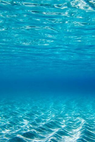 UIM F1H2O World Championship