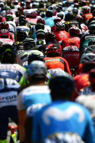 La montonera (T2026): Tour de Flandes