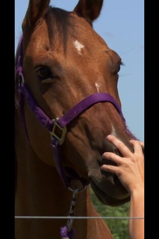 El increíble doctor Pol: Un año más