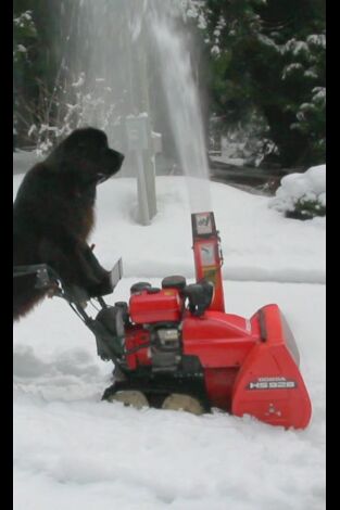 Ciencia para aficionados: Episodio 12