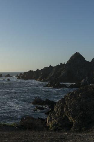 Corriente de Humboldt: el viaje de la ballena: Génesis