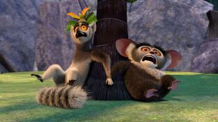 Viva el rey Julien (T2): Ep.52 Destróname