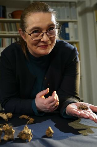 Tesoros al descubierto: El misterio de la crucifixión