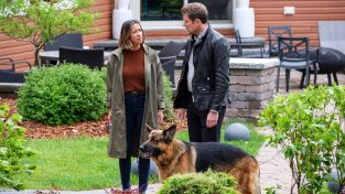 Hudson y Rex (T4): Ep.2 Ups, lo mordí otra vez