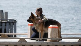 Hudson y Rex (T7): Ep.3 Mariscos Para Siempre