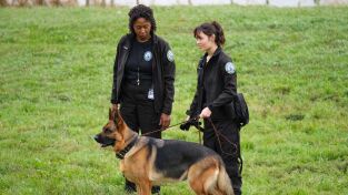 Hudson y Rex (T7): Ep.4 K9: La Nueva Generación Rex