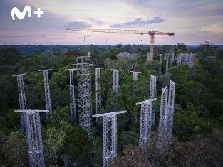El futuro de la naturaleza: Bosques