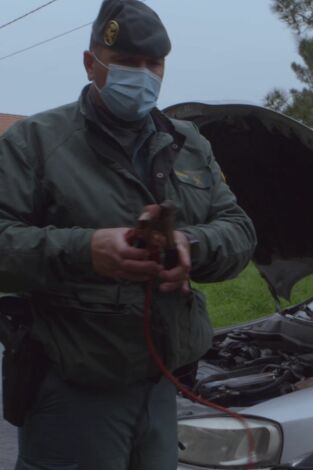 Seprona en acción: Episodio 9