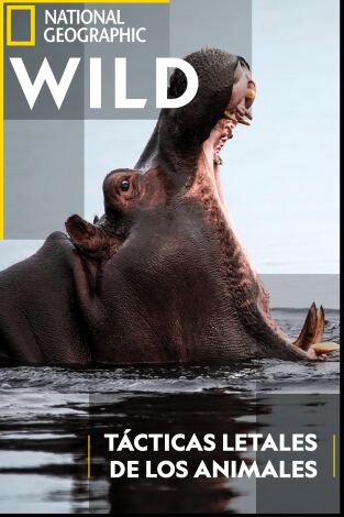 Tácticas letales de los animales