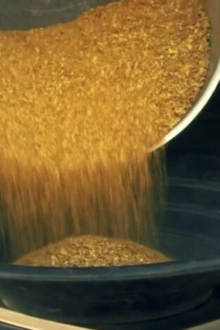 La fiebre del oro: Eclipsados