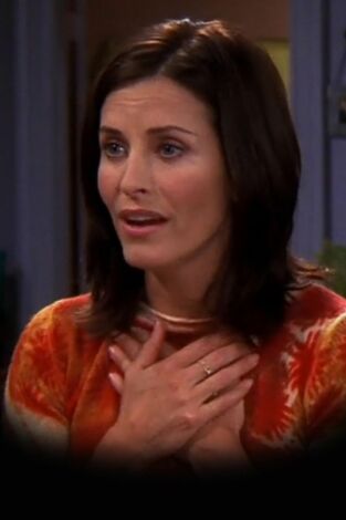 Friends (T10): Ep.7 El del estudio del hogar