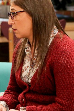 Big Bang (T11): Ep.7 La metodología de la geología