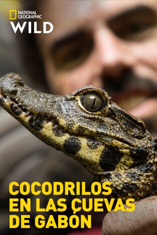 Cocodrilos en las cuevas de Gabón