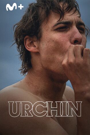Urchin