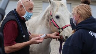 El increíble doctor Pol: Echa el freno