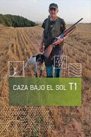 Caza bajo el sol: Conejo