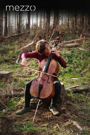 Suites para un mundo que sufre - Tanja Tetzlaff