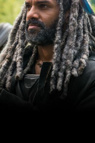 The Walking Dead (T7): Ep.10 Nuevos mejores amigos