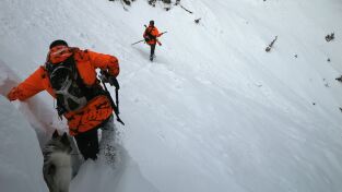 Cazador de frontera: Rebeco en Pierrefitte