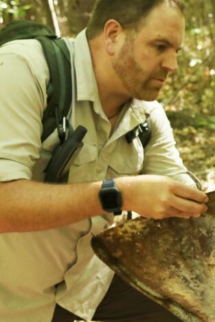 Expedición al pasado: El rival perdido de Lindbergh