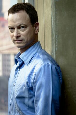 C.S.I. NY (T8): Ep.9 El fin justifica los medios