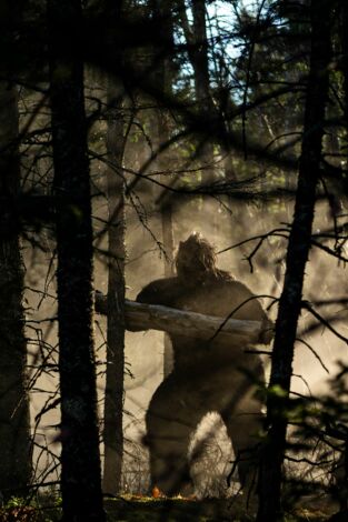 El triángulo de Alaska: Bigfoot agresivo