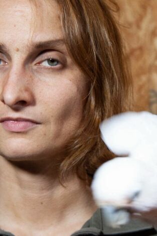 ¿Cómo lo hacen? Mundo animal: Perros doctores y arquitectos animales