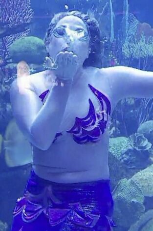 Acuarios XXL: Brett se va a bucear