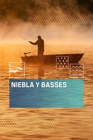 Niebla y basses