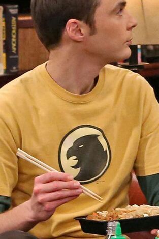 Big Bang (T7): Ep.8 La simulación del picor de cerebro