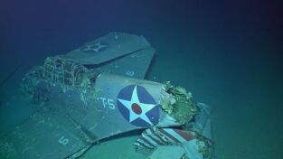 Barcos perdidos de la Segunda Guerra Mundial: Lady Lex: la reina del mar del Coral