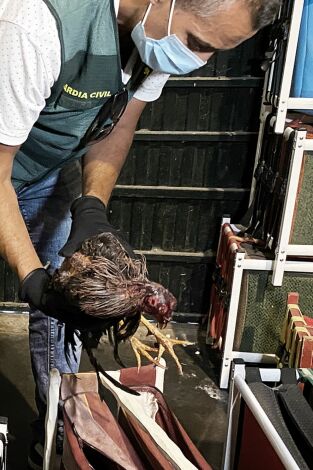 Seprona en acción: Episodio 14