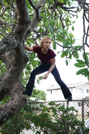 Magnum (T3): Ep.13 Lágrimas y sangre