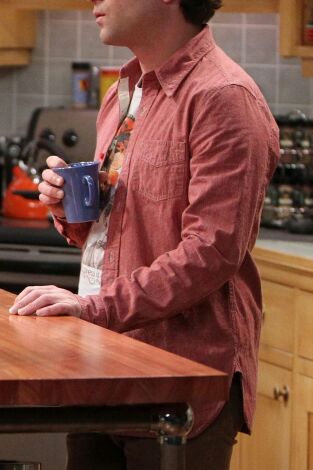 Big Bang (T7): Ep.20 La escisión de la relación